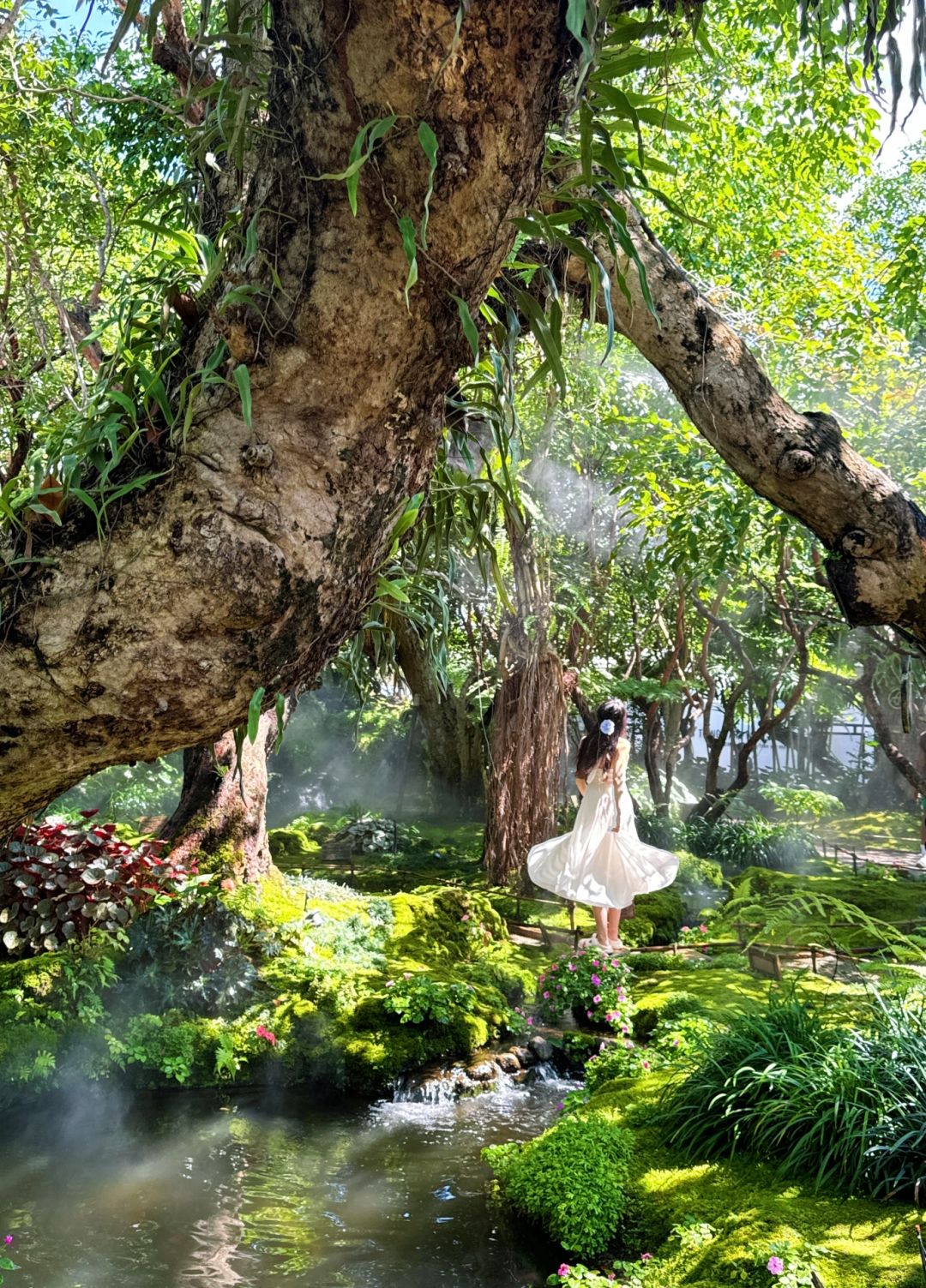 Chiang Mai-Chom Cafe and Restaurant, ??‍♀️Alice in Wonderland, Chiang Mai, jungle garden style