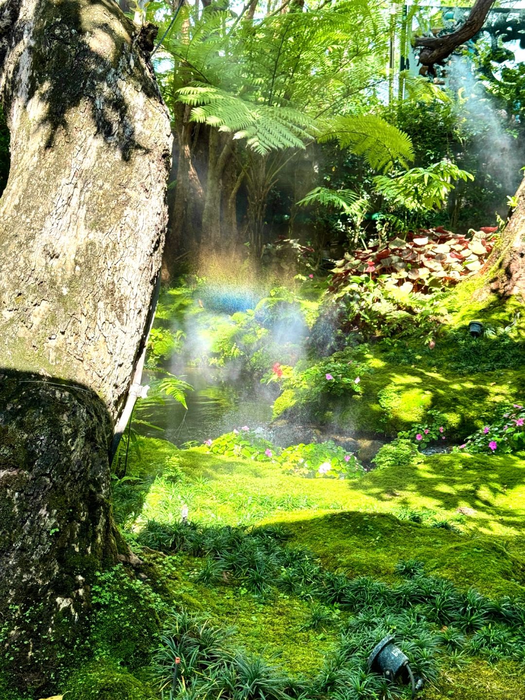 Chiang Mai-Chom Cafe and Restaurant, ??‍♀️Alice in Wonderland, Chiang Mai, jungle garden style