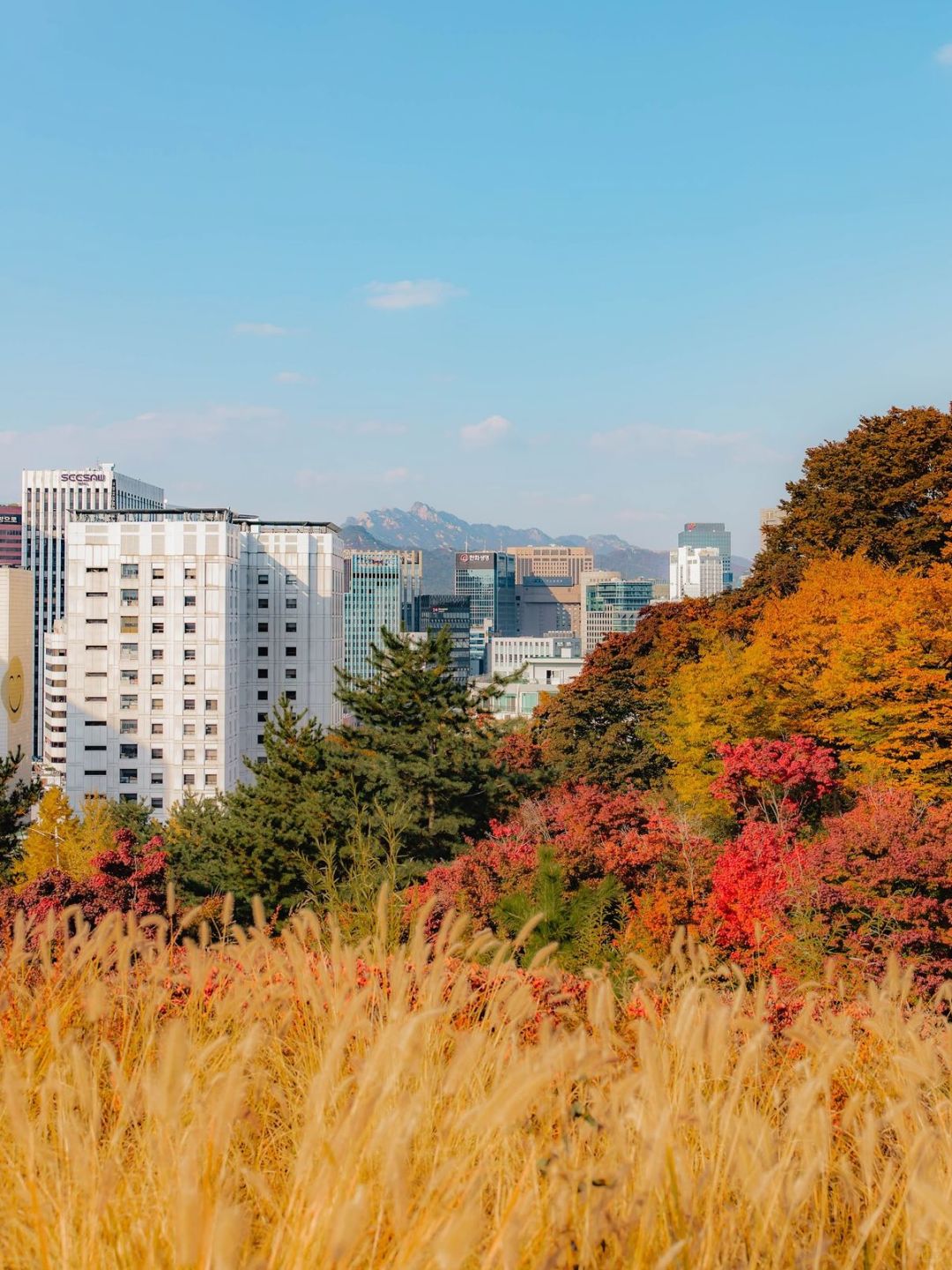 Seoul-Seoul Namsan Park Baekbeom Square, ?enjoy the most beautiful autumn in Korea