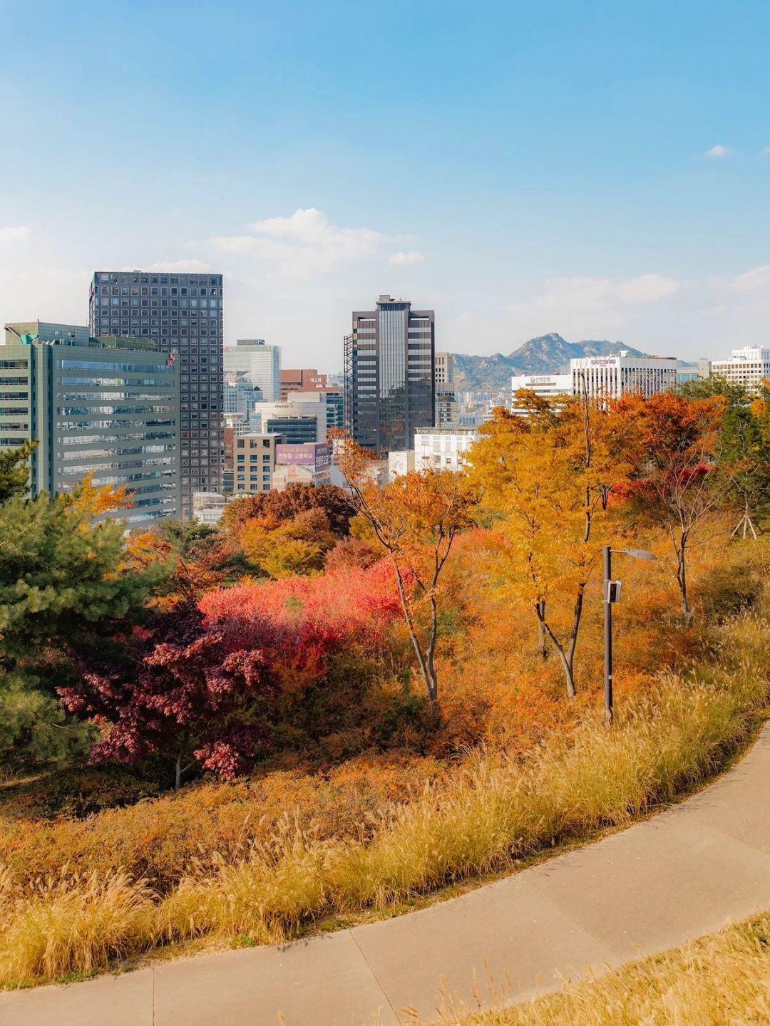 Seoul-Seoul Namsan Park Baekbeom Square, ?enjoy the most beautiful autumn in Korea