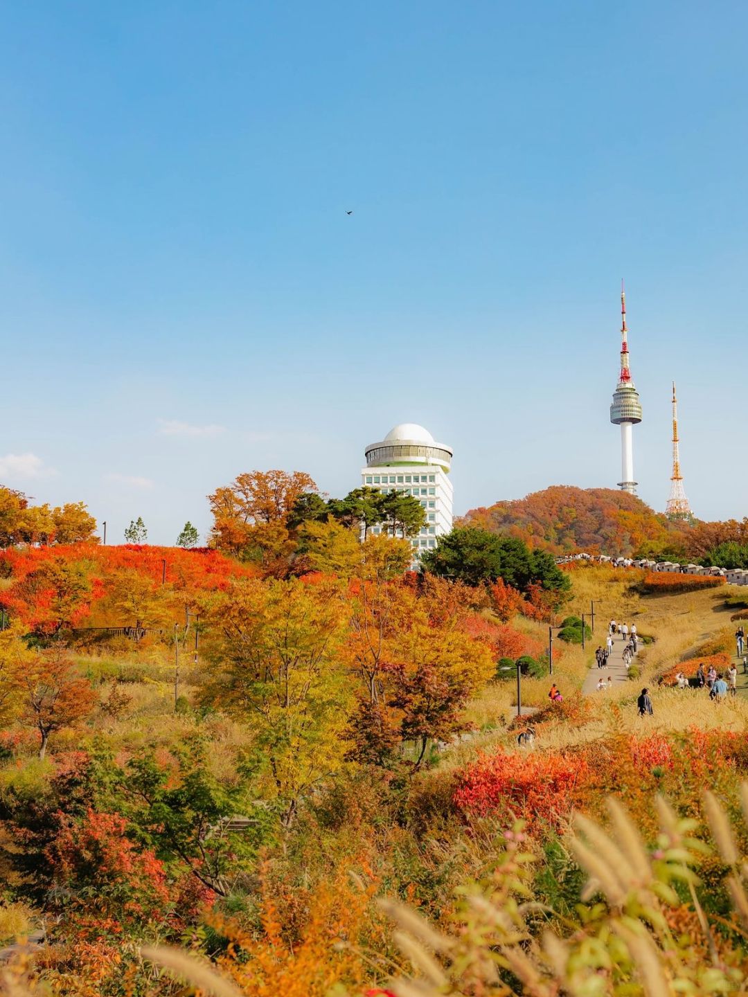 Seoul-Seoul Namsan Park Baekbeom Square, ?enjoy the most beautiful autumn in Korea