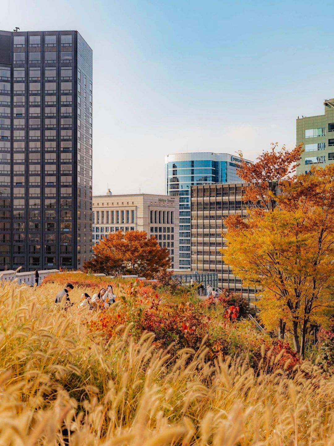 Seoul-Seoul Namsan Park Baekbeom Square, ?enjoy the most beautiful autumn in Korea
