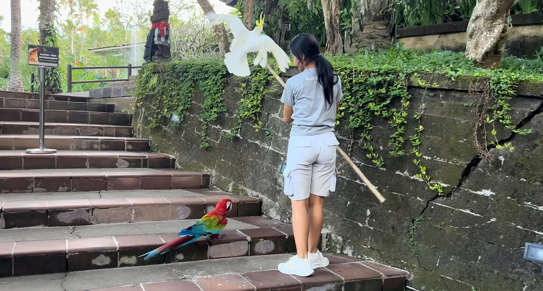 Bali-In Bali,?you can see a hundred possibilities of life and experience three religious lives
