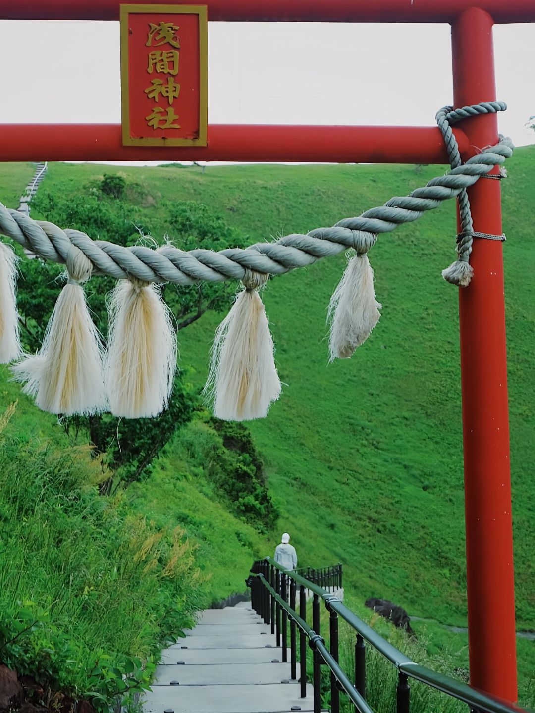 Tokyo-A literary youth's trip to Tokyo-Izu,? visiting Mount Fuji, waterfall hot springs, sea torii and trains