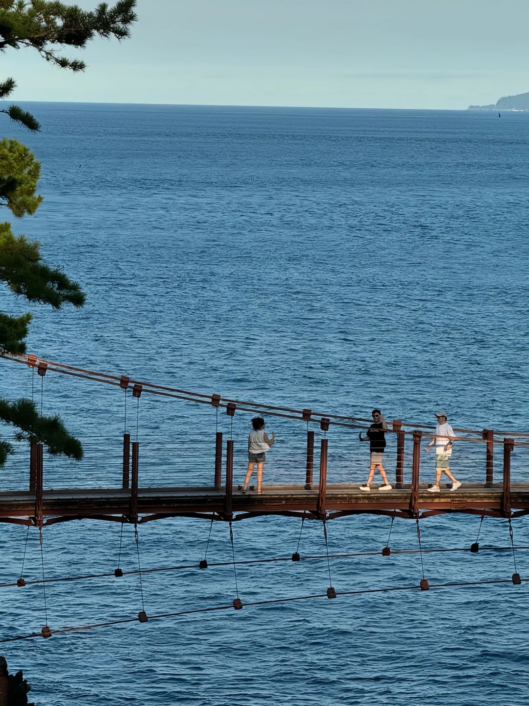 Tokyo-A literary youth's trip to Tokyo-Izu,? visiting Mount Fuji, waterfall hot springs, sea torii and trains