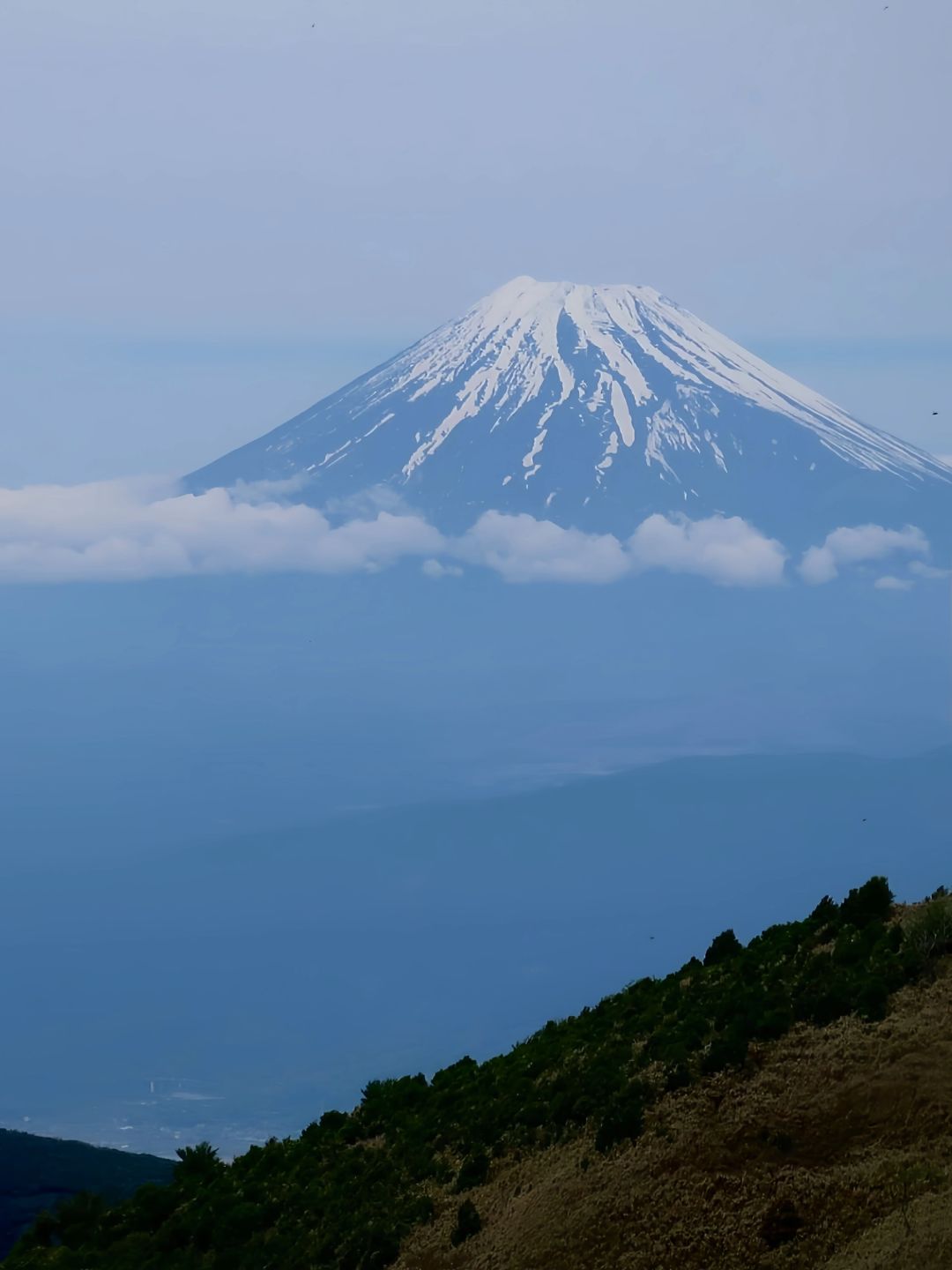 Tokyo-A literary youth's trip to Tokyo-Izu,? visiting Mount Fuji, waterfall hot springs, sea torii and trains
