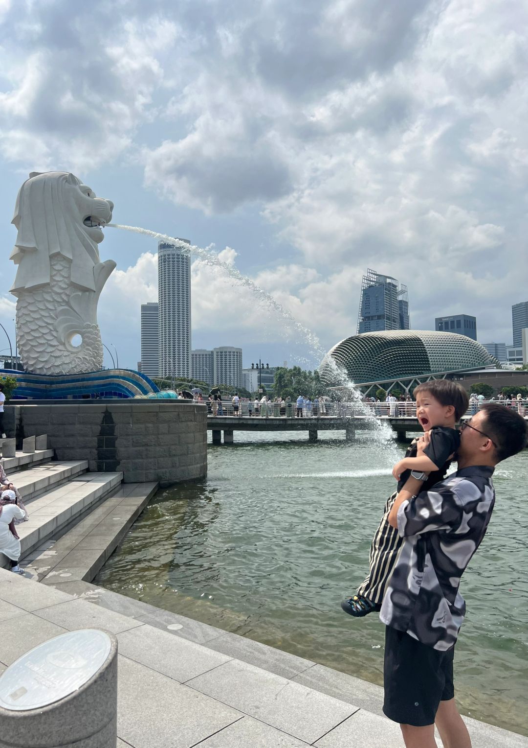 Singapore-Travel experience in Singapore. Clean, safe, orderly, expensive, beautiful and convenient
