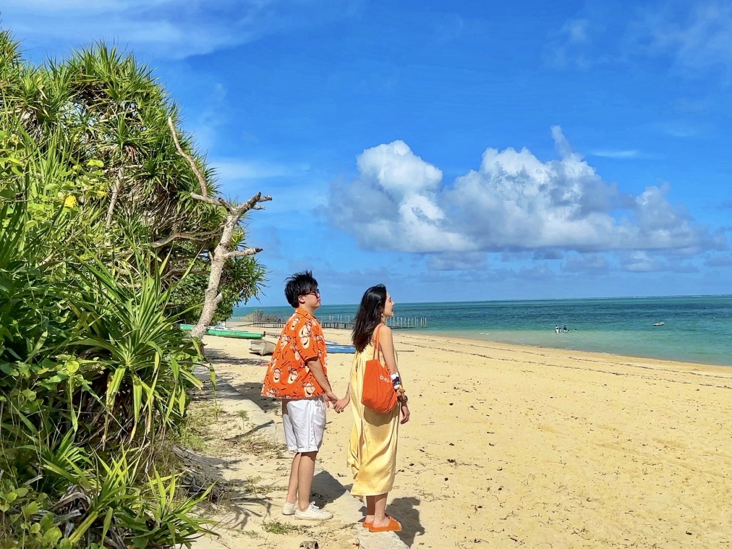 Okinawa-Travel to Japan, ?visit Okinawa Kokusai-dori Shinbara Beach and Cape Chinen Beach Park