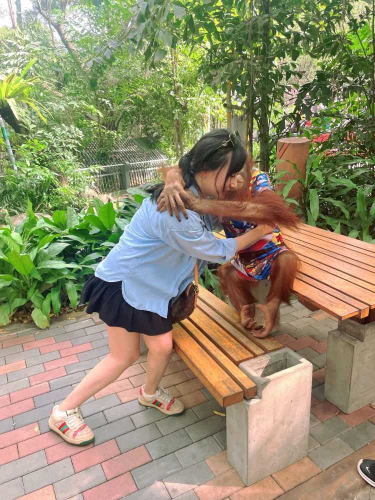 Bangkok-Visit the Bangkok Zoo? in Thailand and play games and take photos with orangutans