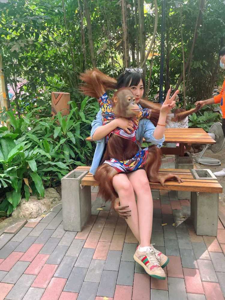 Bangkok-Visit the Bangkok Zoo? in Thailand and play games and take photos with orangutans