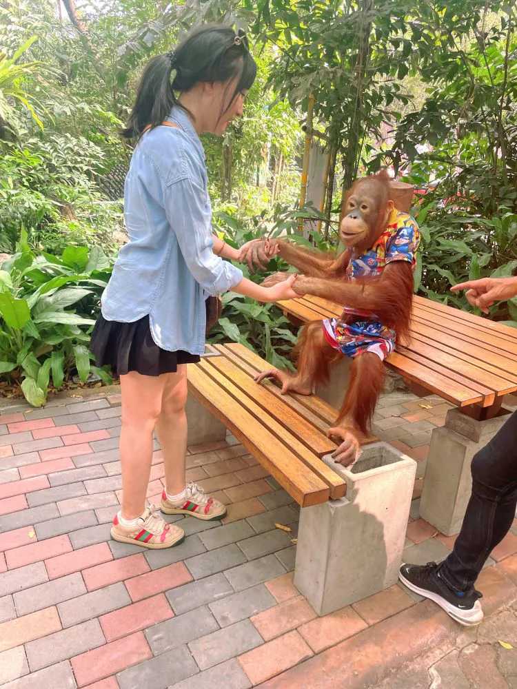 Bangkok-Visit the Bangkok Zoo? in Thailand and play games and take photos with orangutans