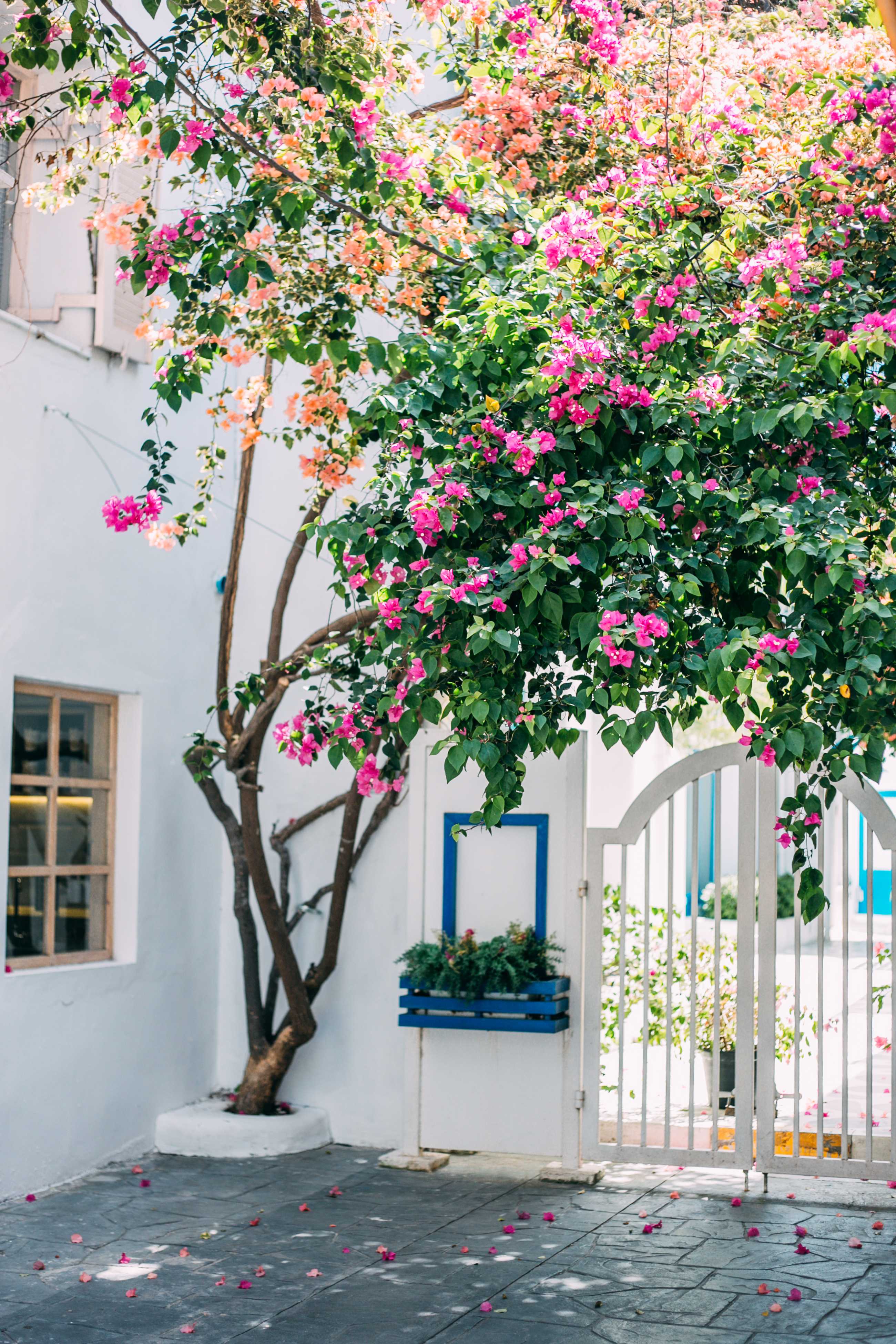 Hua Hin-Santorini Park in Hua Hin? is a themed amusement park with a blue and white house as its theme.