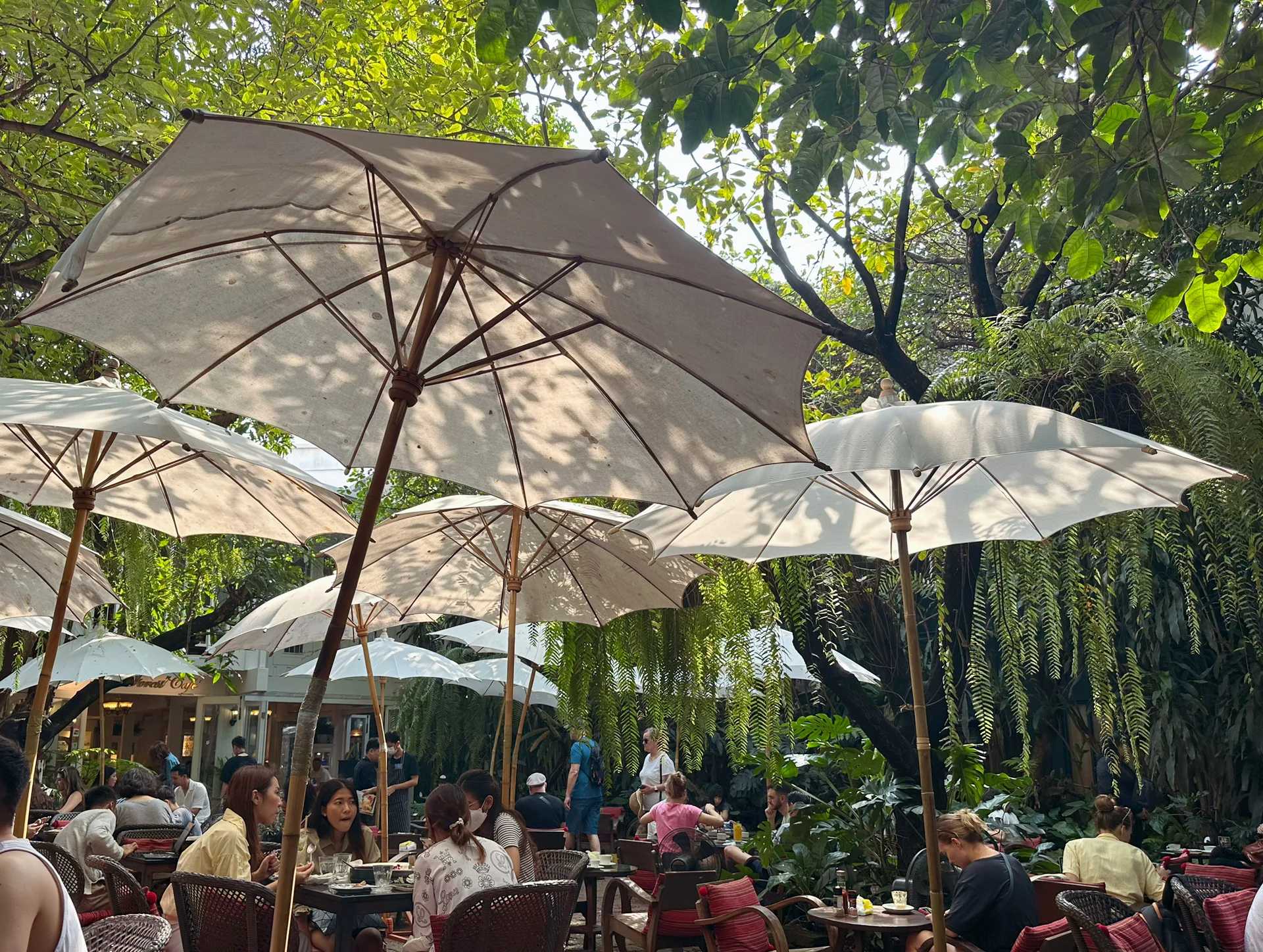 Chiang Mai-Fern Forest Cafe, ?a popular restaurant in Chiang Mai Old Town, is a garden in the forest