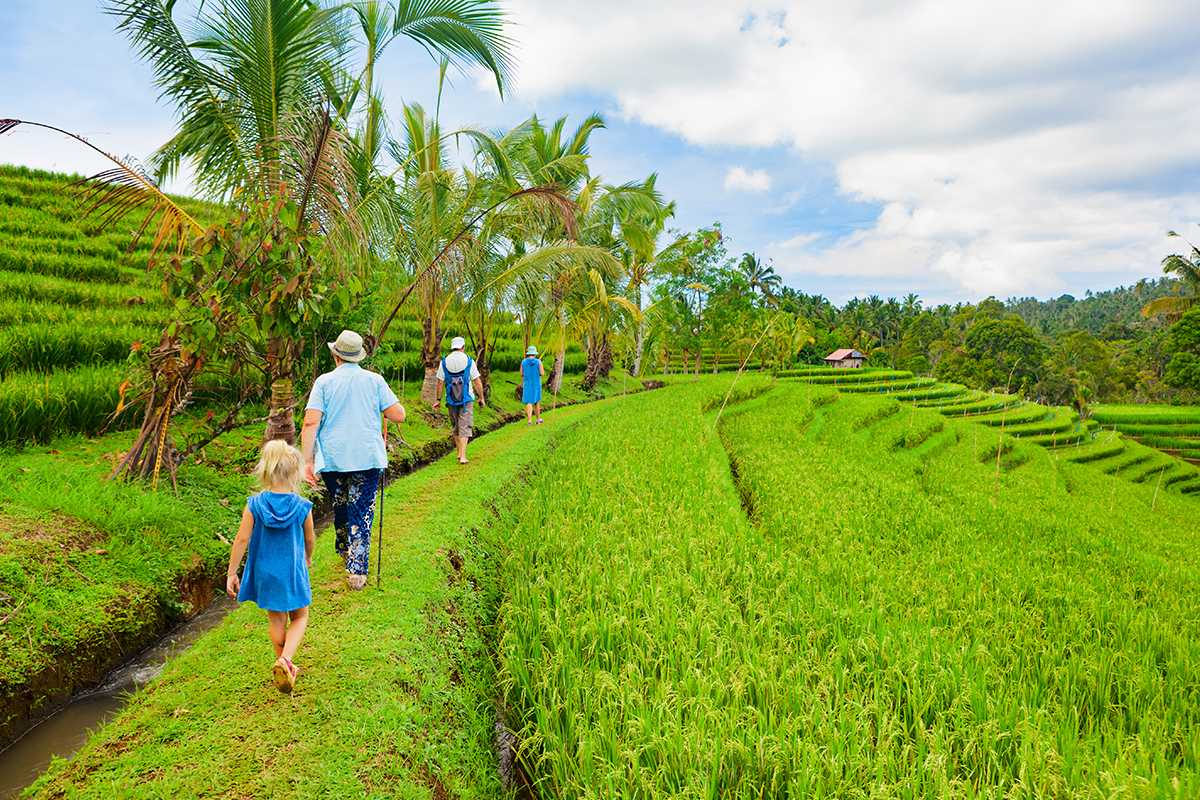 Bali-It's time to travel to Bali. ?9 wonderful New Year ideas to experience Asian cultural characteristics