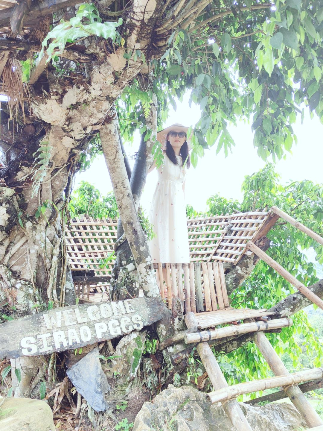 Cebu-Visit Sirao Garden in Cebu Mountain on weekends. ?The ticket is a small red flower stamp