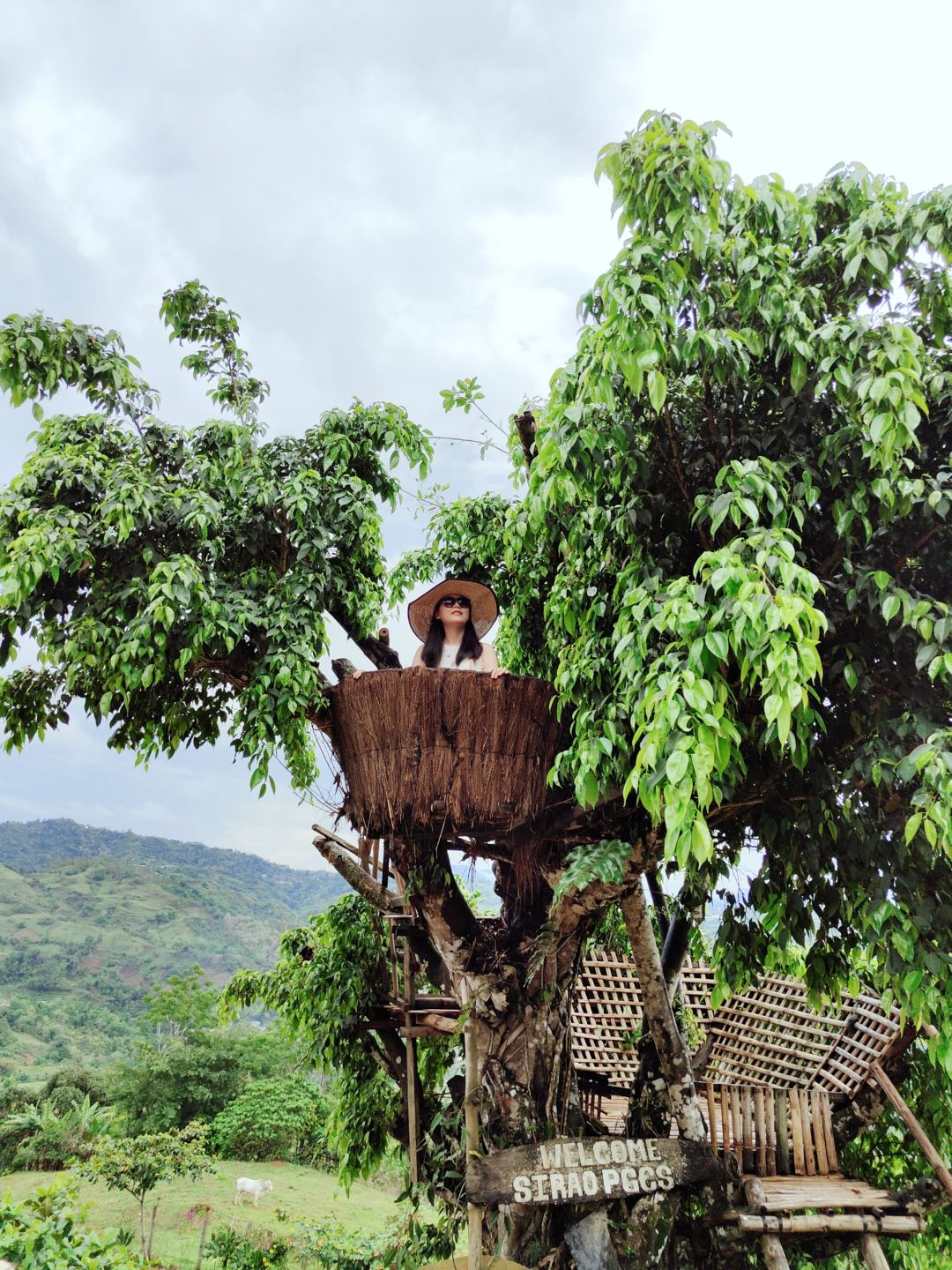 Cebu-Visit Sirao Garden in Cebu Mountain on weekends. ?The ticket is a small red flower stamp