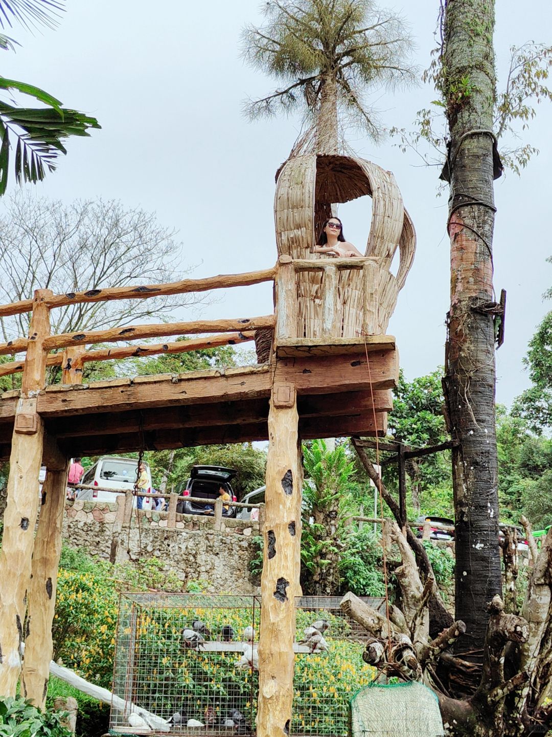 Cebu-Visit Sirao Garden in Cebu Mountain on weekends. ?The ticket is a small red flower stamp