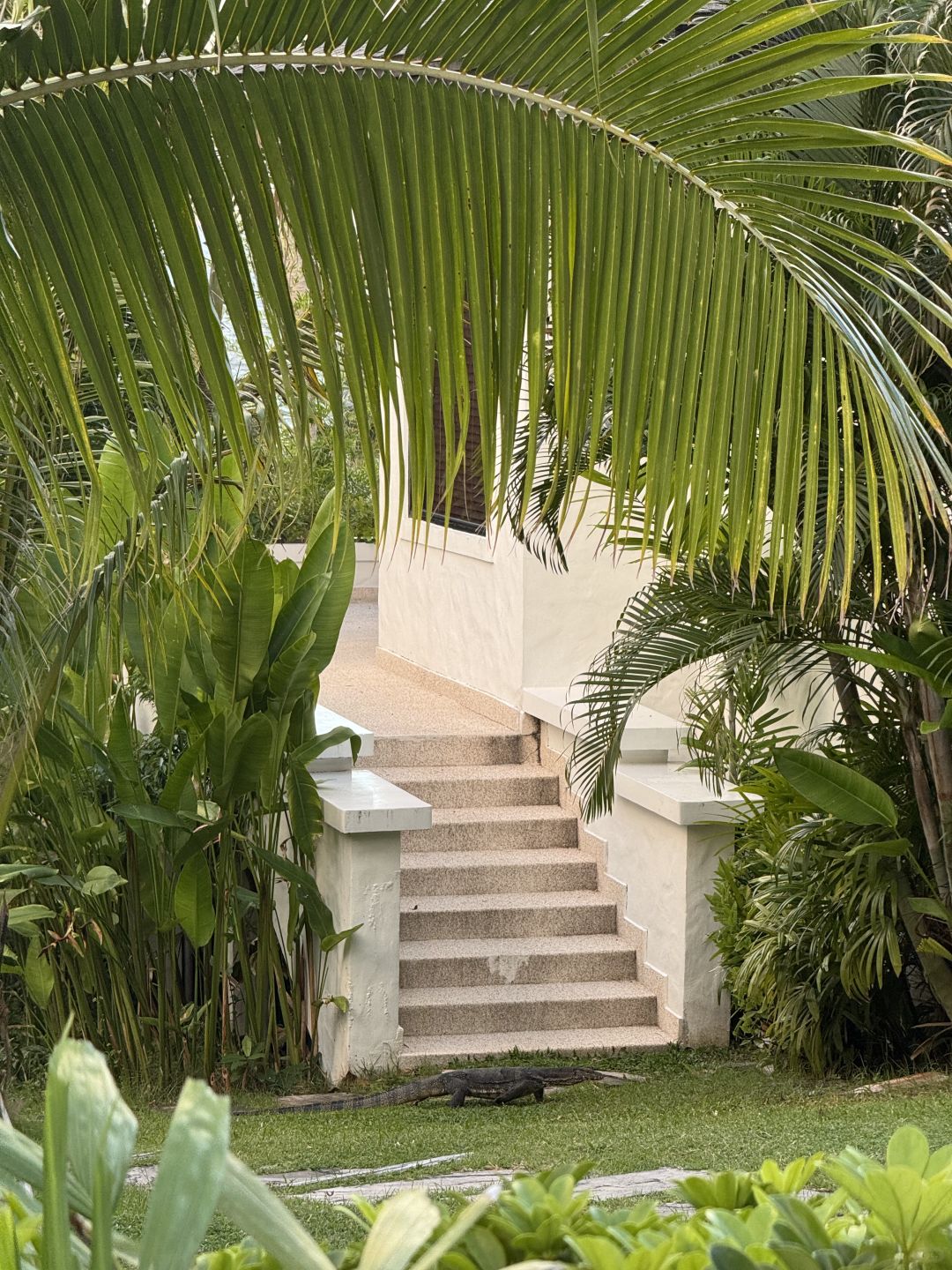 Phuket-The Racha Hotel on Emperor Island, ?great choice for snorkeling and diving enthusiasts