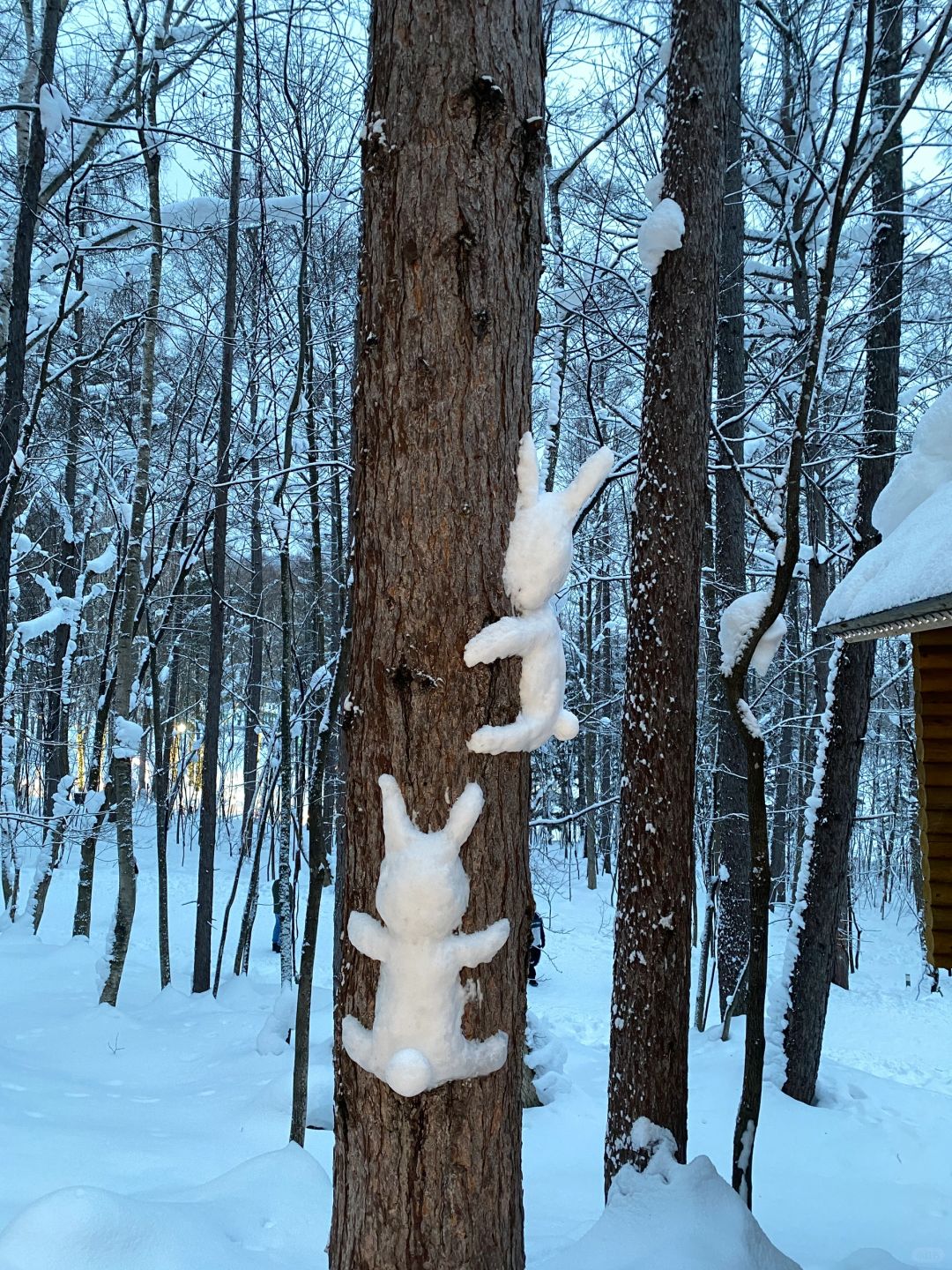 Sapporo/Hokkaido-The guide to Hokkaido you want, Noboribetsu Sekisuitei hot spring bath, free airport pick-up
