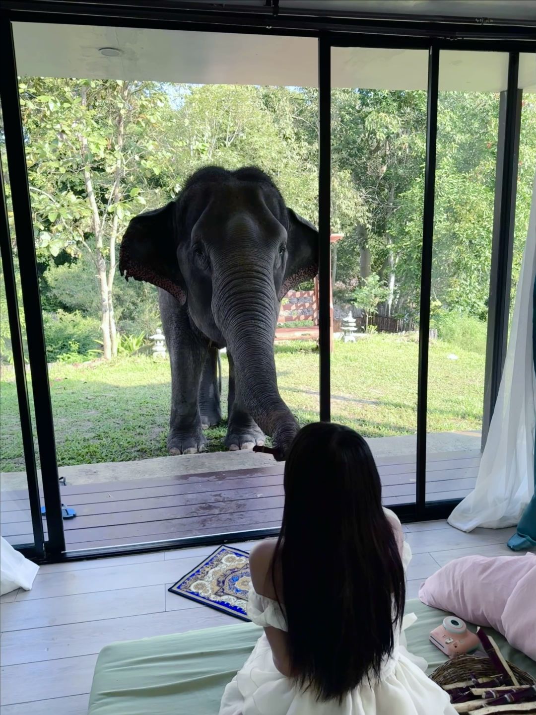 Chiang Mai-3Pok Resort Maewang Jinxing Chiang Mai Elephant Hotel, ?Southeast Asian forest style