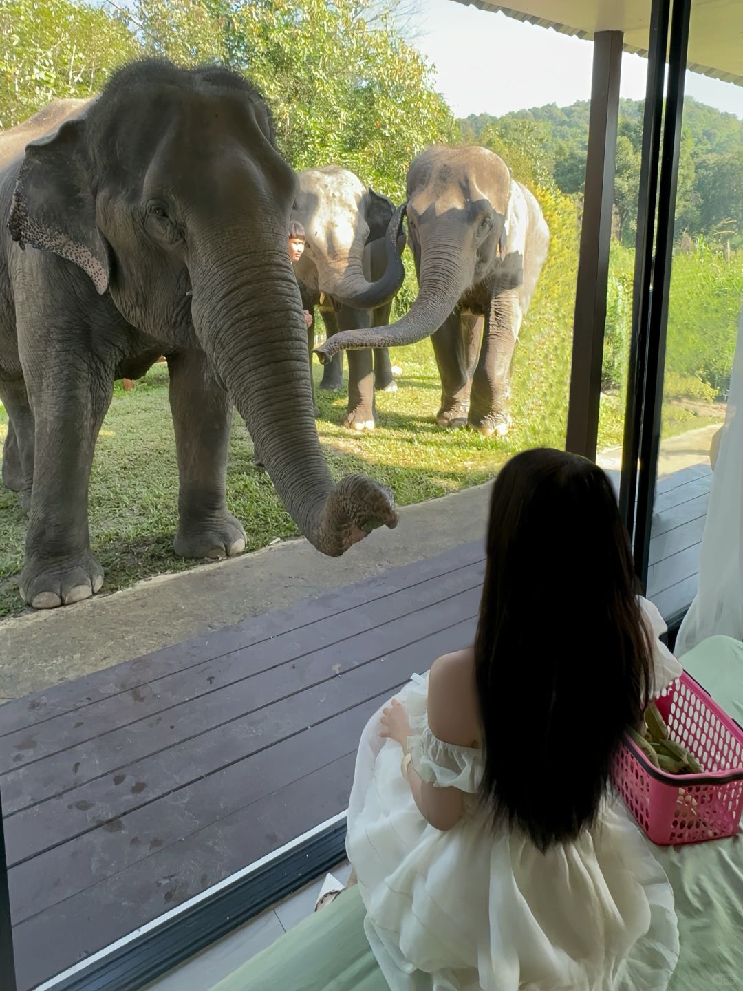 Chiang Mai-3Pok Resort Maewang Jinxing Chiang Mai Elephant Hotel, ?Southeast Asian forest style
