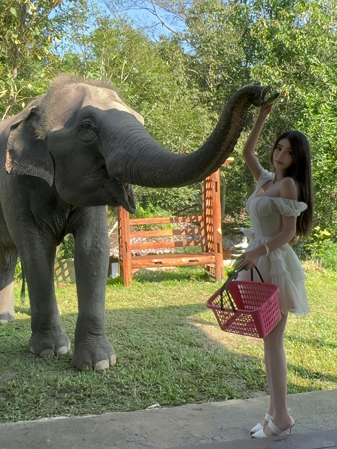 Chiang Mai-3Pok Resort Maewang Jinxing Chiang Mai Elephant Hotel, ?Southeast Asian forest style