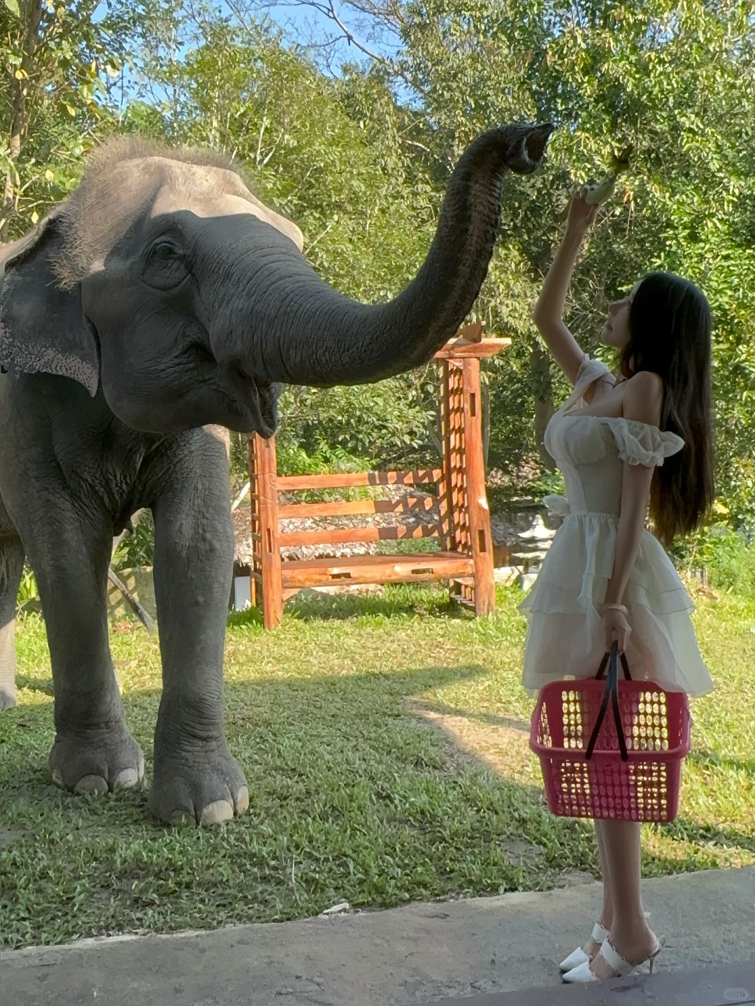 Chiang Mai-3Pok Resort Maewang Jinxing Chiang Mai Elephant Hotel, ?Southeast Asian forest style