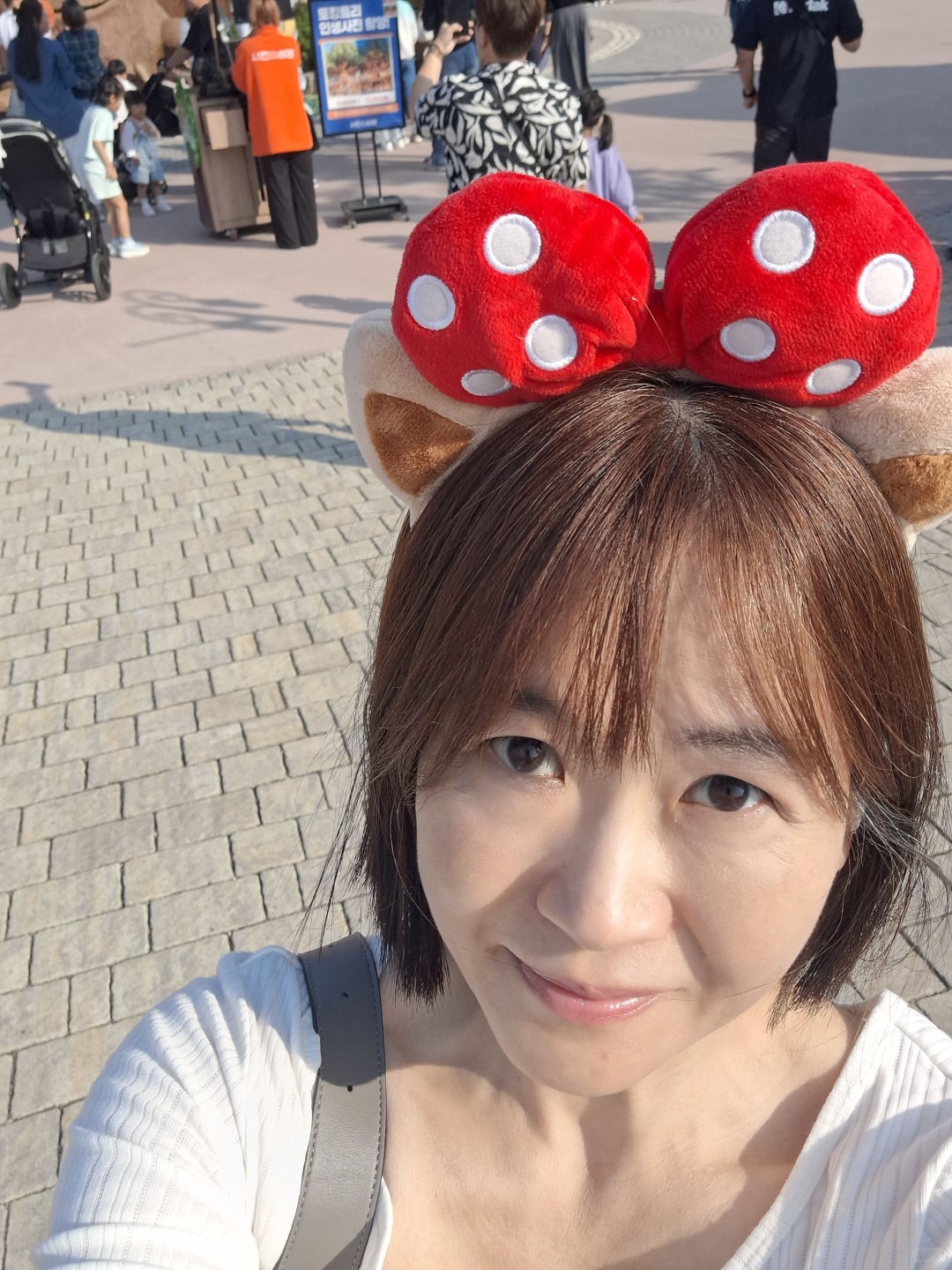 Busan/Jeju-Busan Lotte World Main Amusement Park, ?featuring carousel and roller coaster rides