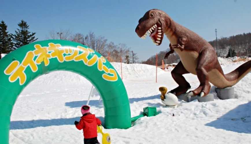 Sapporo/Hokkaido-Hokkaido Ski Season Guide: 5 Must-go Ski resorts!  Resorts, Tips for Beginners, and FAQs
