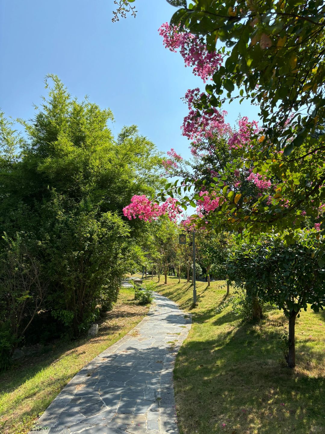Changsha-Changsha Rongyuan Hotel, away from the hustle and bustle of the city, enjoy the cool lake breeze