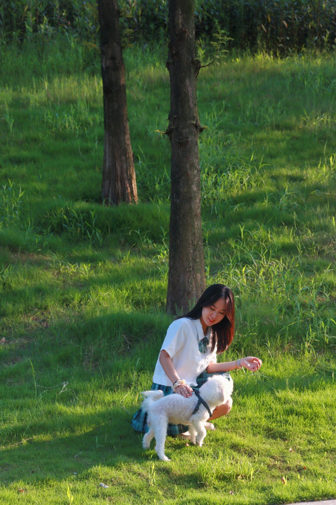 Chengdu/Chongqing-The Shanshuwan Park in Chongqing is like the comic world of Hayao Miyazaki!