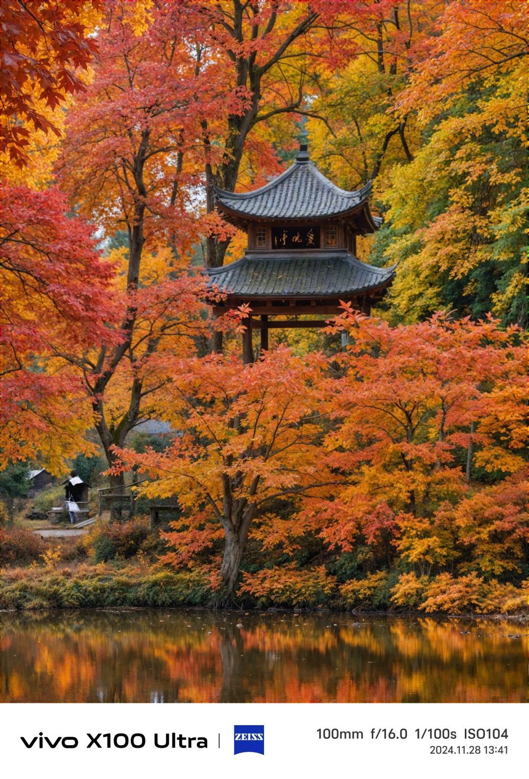 Changsha-Changsha Lushan boasts one of the most beautiful red leaf scenery in all of China!
