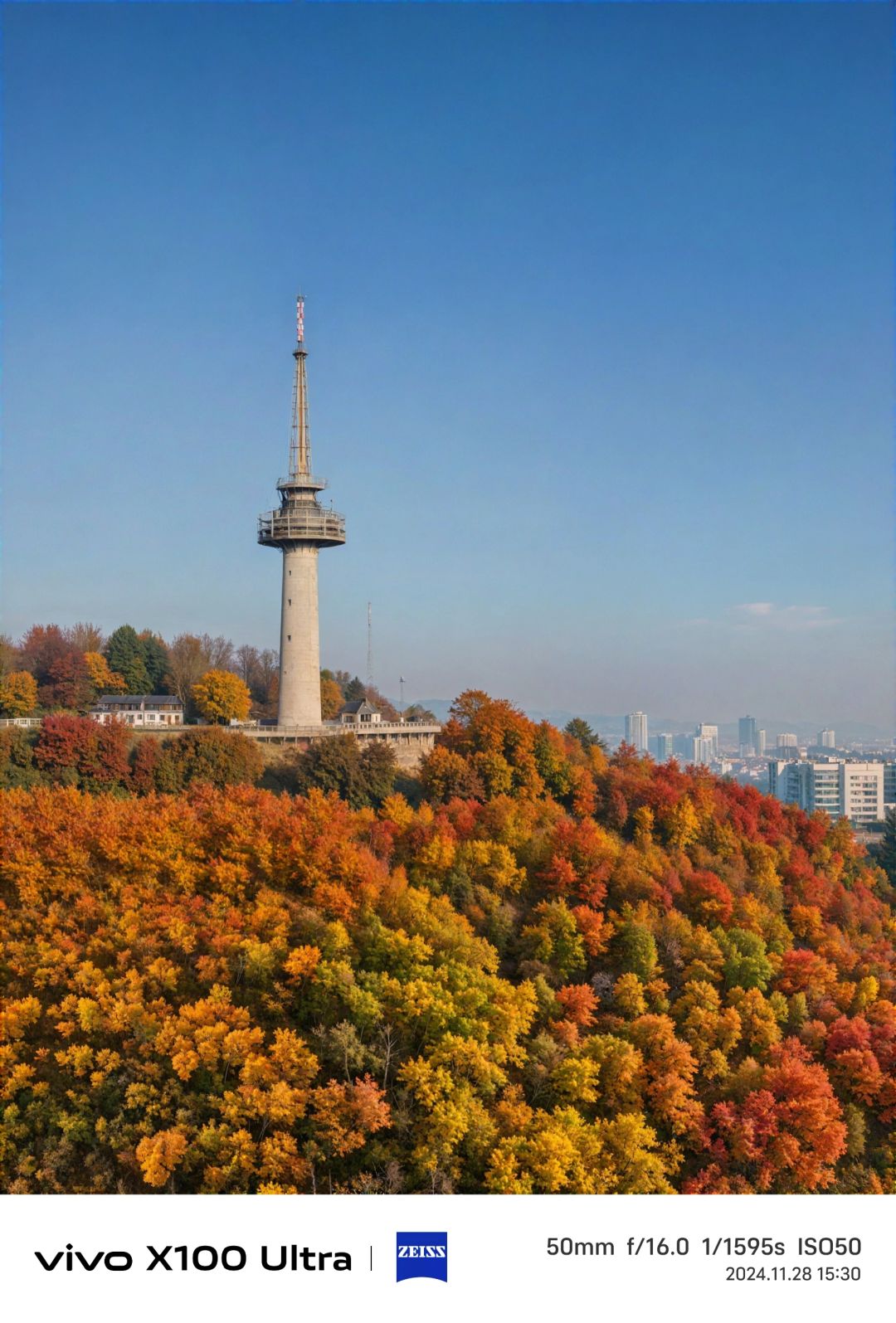 Changsha-Changsha Lushan boasts one of the most beautiful red leaf scenery in all of China!