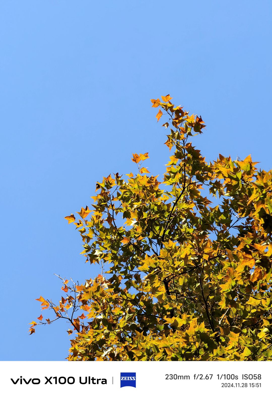 Changsha-Changsha Lushan boasts one of the most beautiful red leaf scenery in all of China!