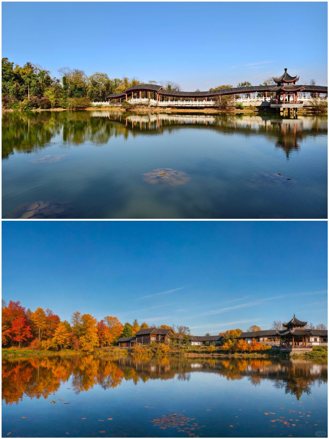 Changsha-Changsha Lushan boasts one of the most beautiful red leaf scenery in all of China!