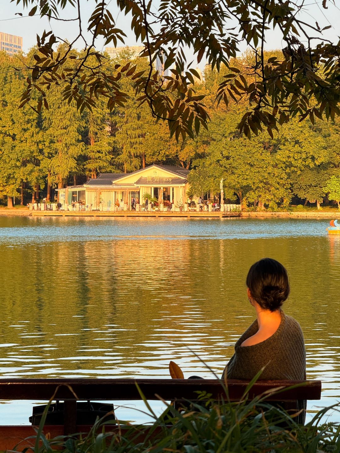 Changsha-Here are three favorite parks for locals in Changsha in autumn, which tourists must not miss!