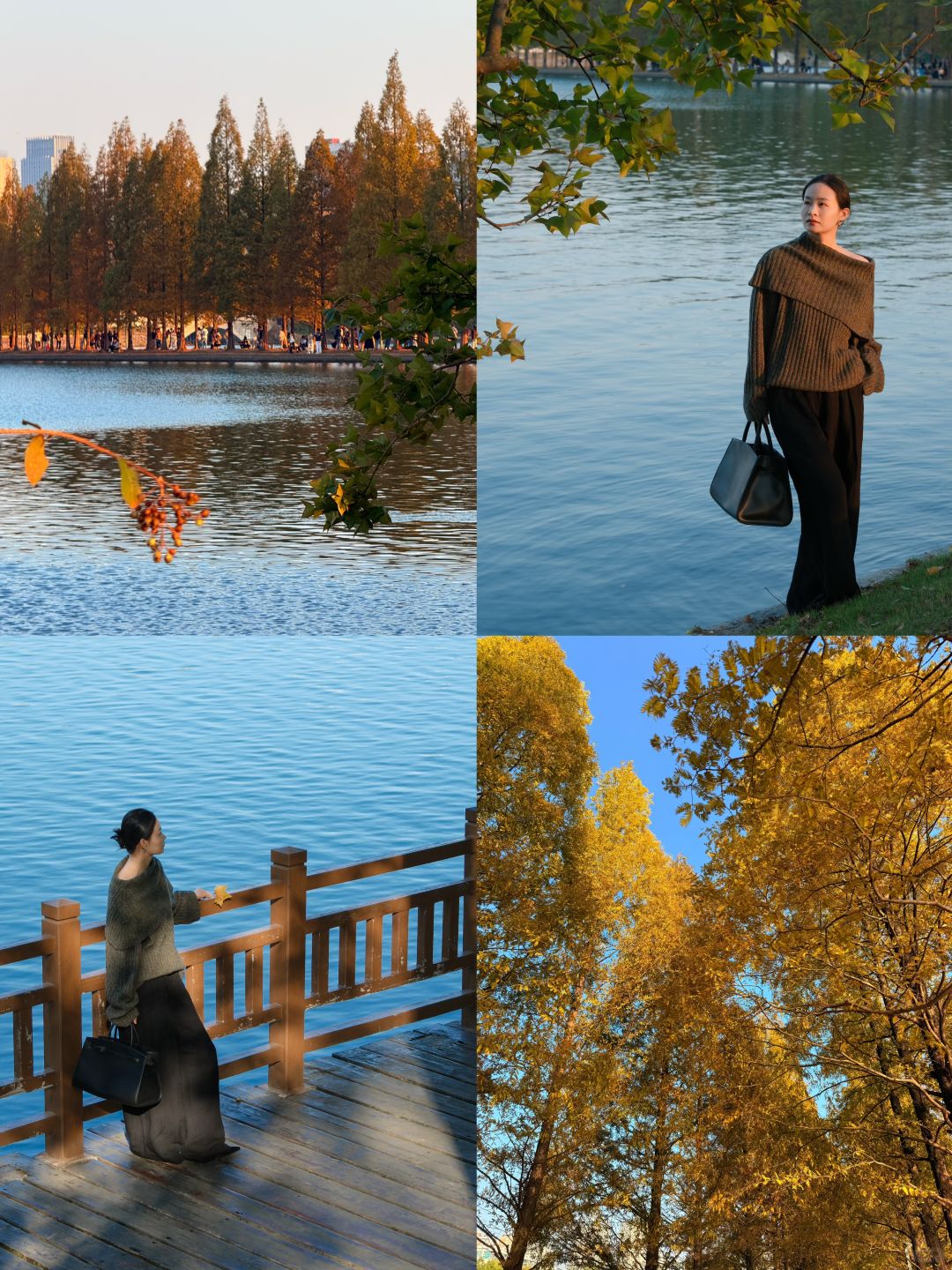 Changsha-Here are three favorite parks for locals in Changsha in autumn, which tourists must not miss!