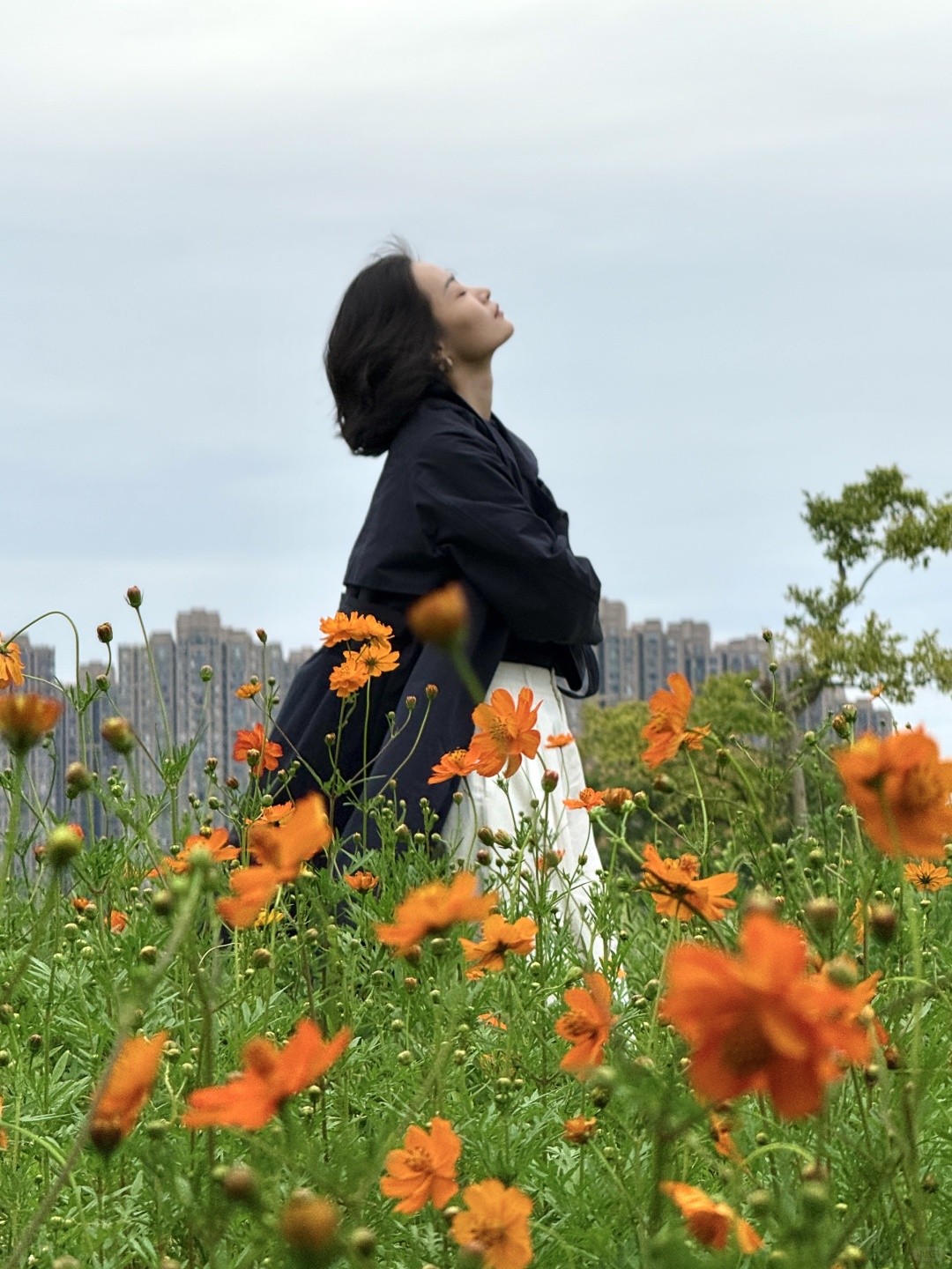 Changsha-Here are three favorite parks for locals in Changsha in autumn, which tourists must not miss!