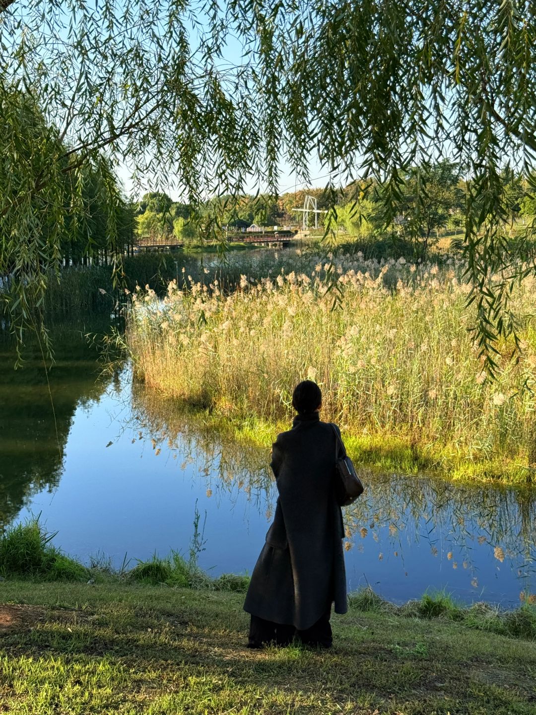 Changsha-Here are three favorite parks for locals in Changsha in autumn, which tourists must not miss!