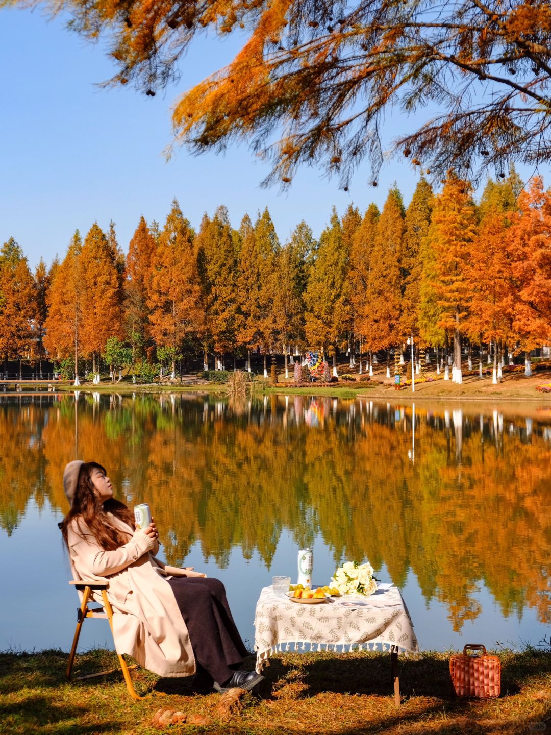 Changsha-Metasequoia has turned red. Come camping with friends at Changsha Garden Ecological Park!