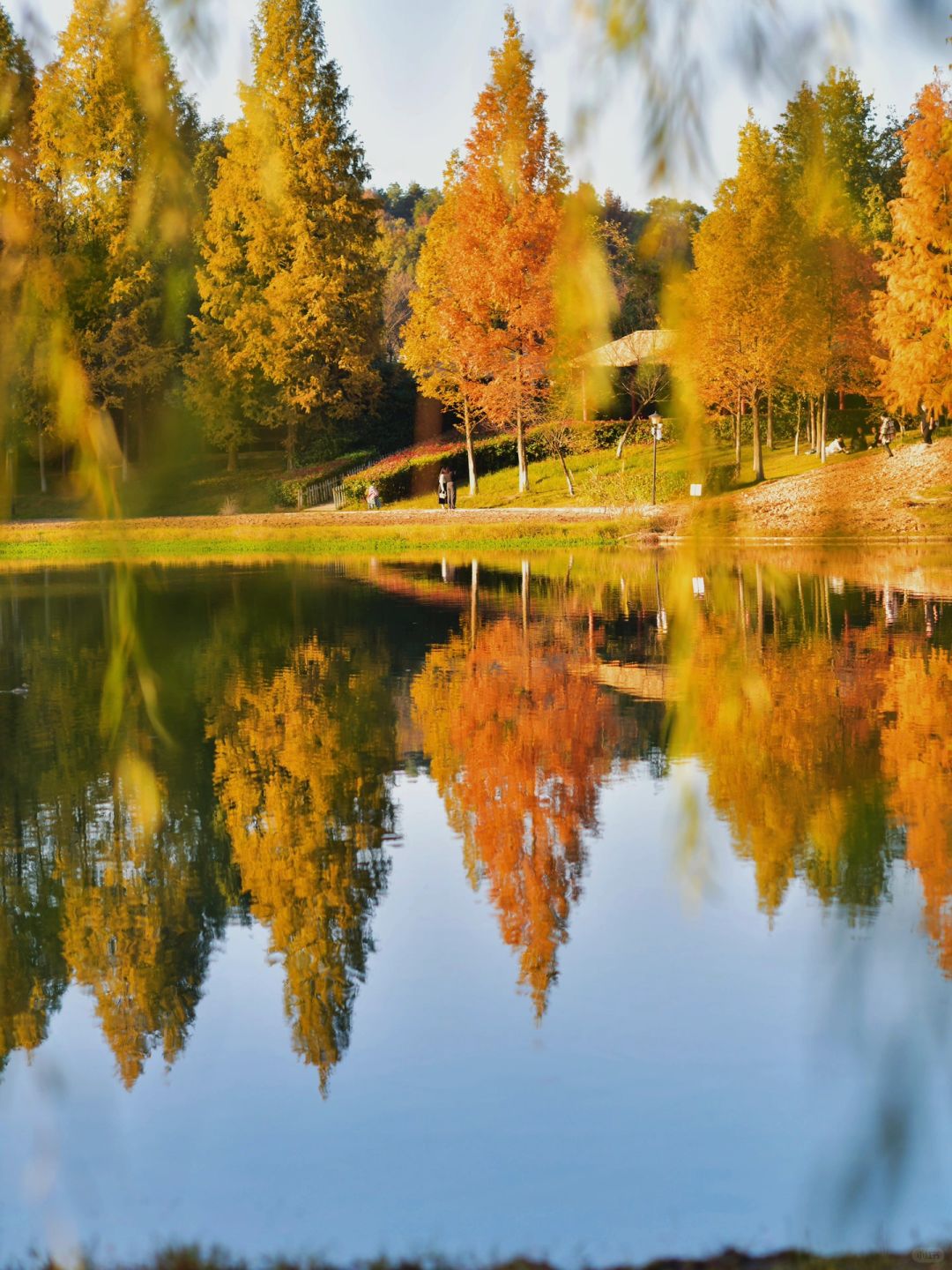 Changsha-Changsha Ecological Garden Park, a niche attraction perfect for learning photography.