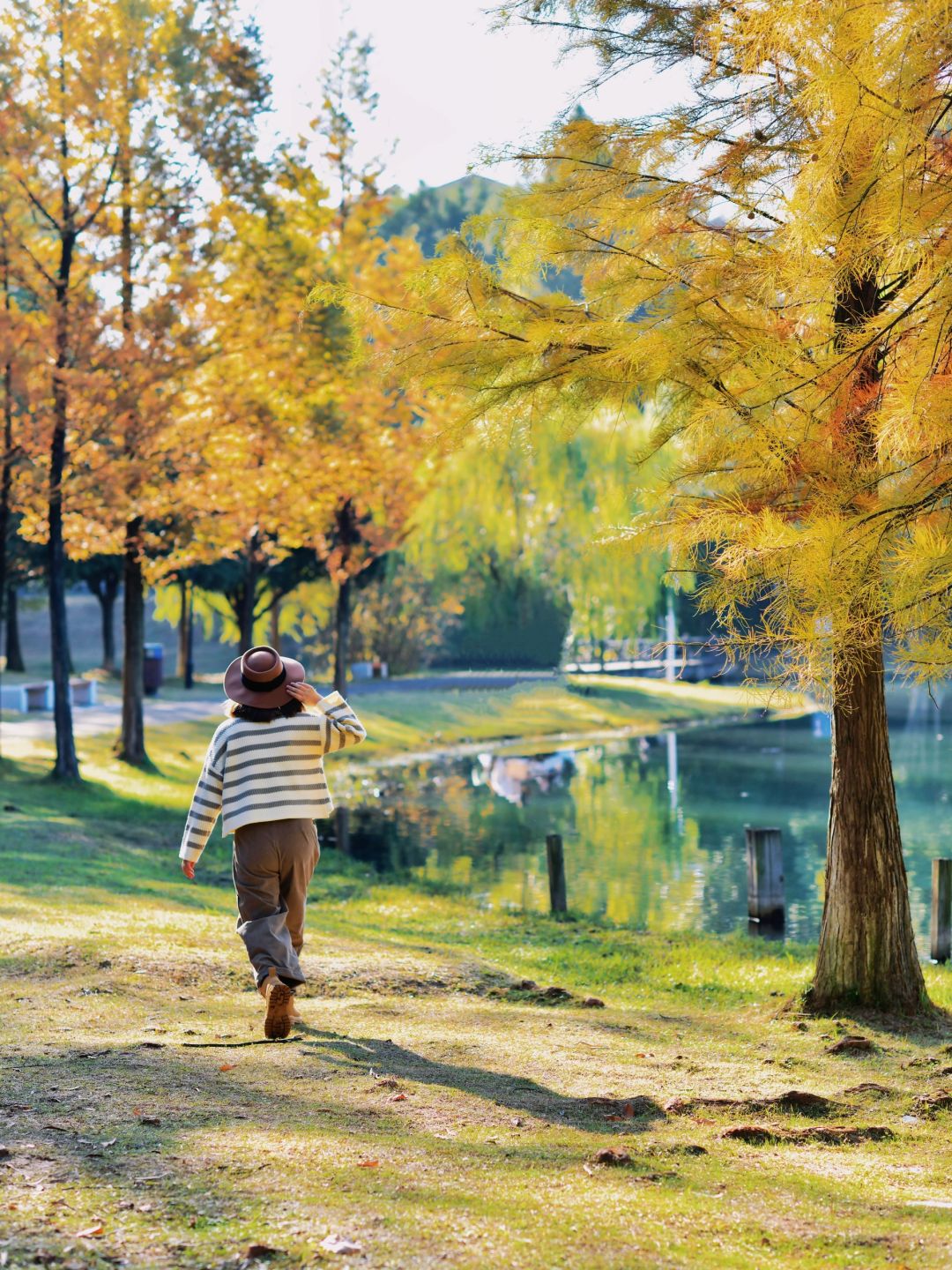 Changsha-Changsha Ecological Garden Park, a niche attraction perfect for learning photography.