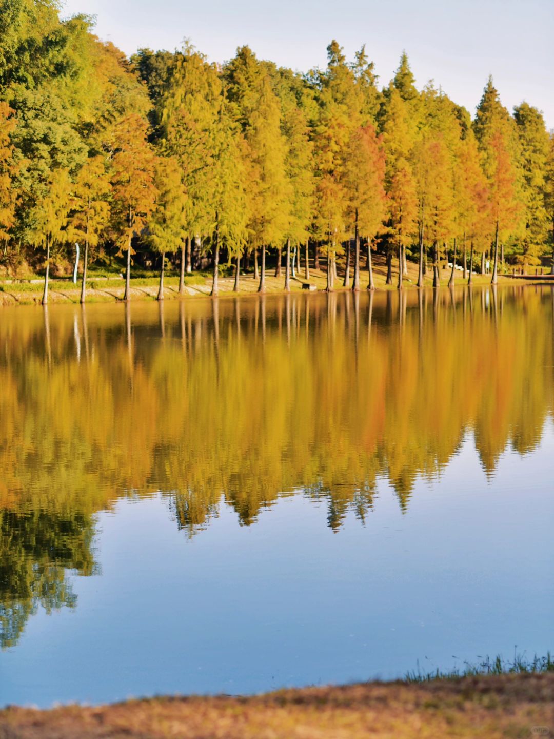 Changsha-Changsha Ecological Garden Park, a niche attraction perfect for learning photography.