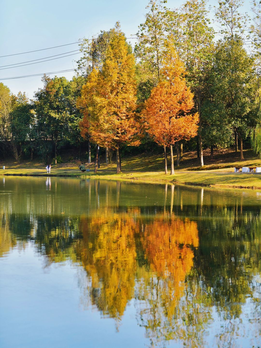 Changsha-Changsha Ecological Garden Park, a niche attraction perfect for learning photography.