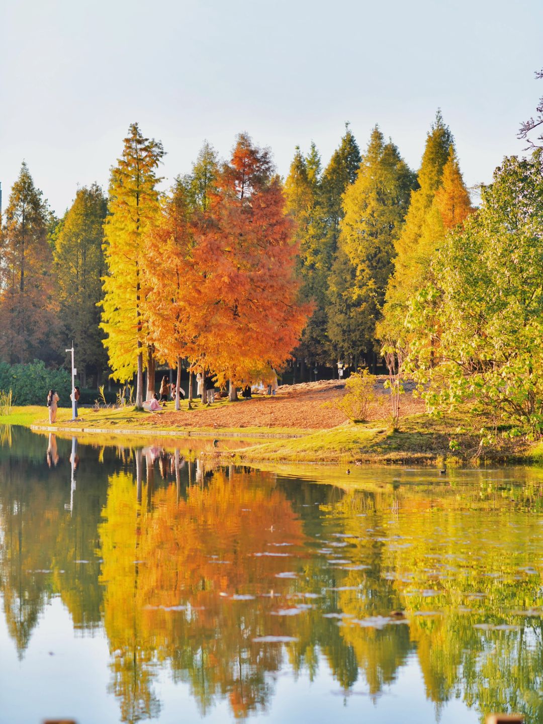 Changsha-Changsha Ecological Garden Park, a niche attraction perfect for learning photography.