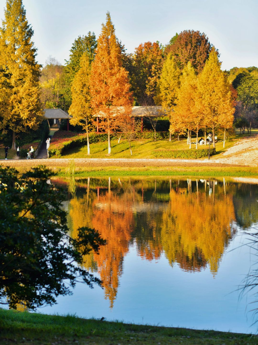 Changsha-Changsha Ecological Garden Park, a niche attraction perfect for learning photography.
