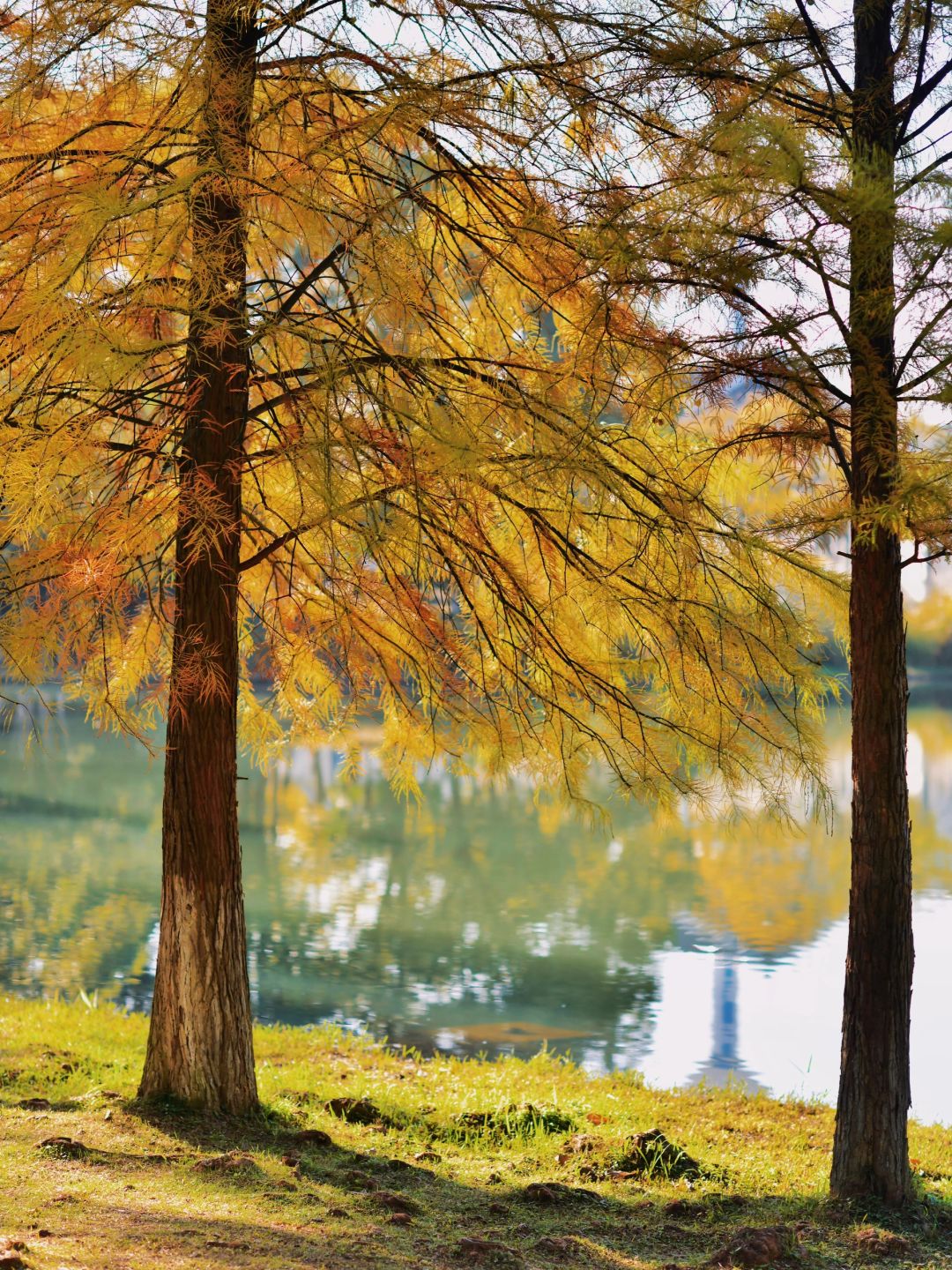 Changsha-Changsha Ecological Garden Park, a niche attraction perfect for learning photography.