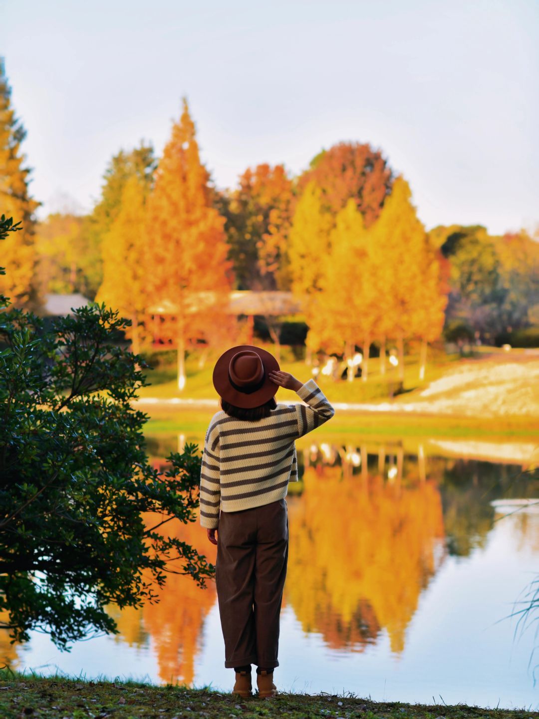 Changsha-Changsha Ecological Garden Park, a niche attraction perfect for learning photography.