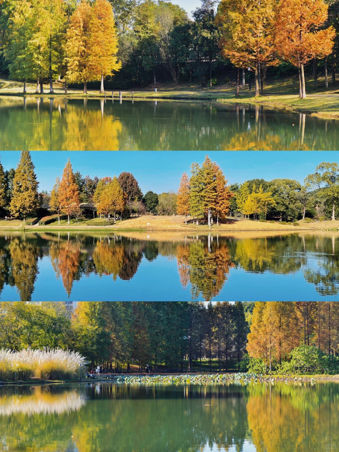 Changsha-Changsha Ecological Garden Park, a niche attraction perfect for learning photography.
