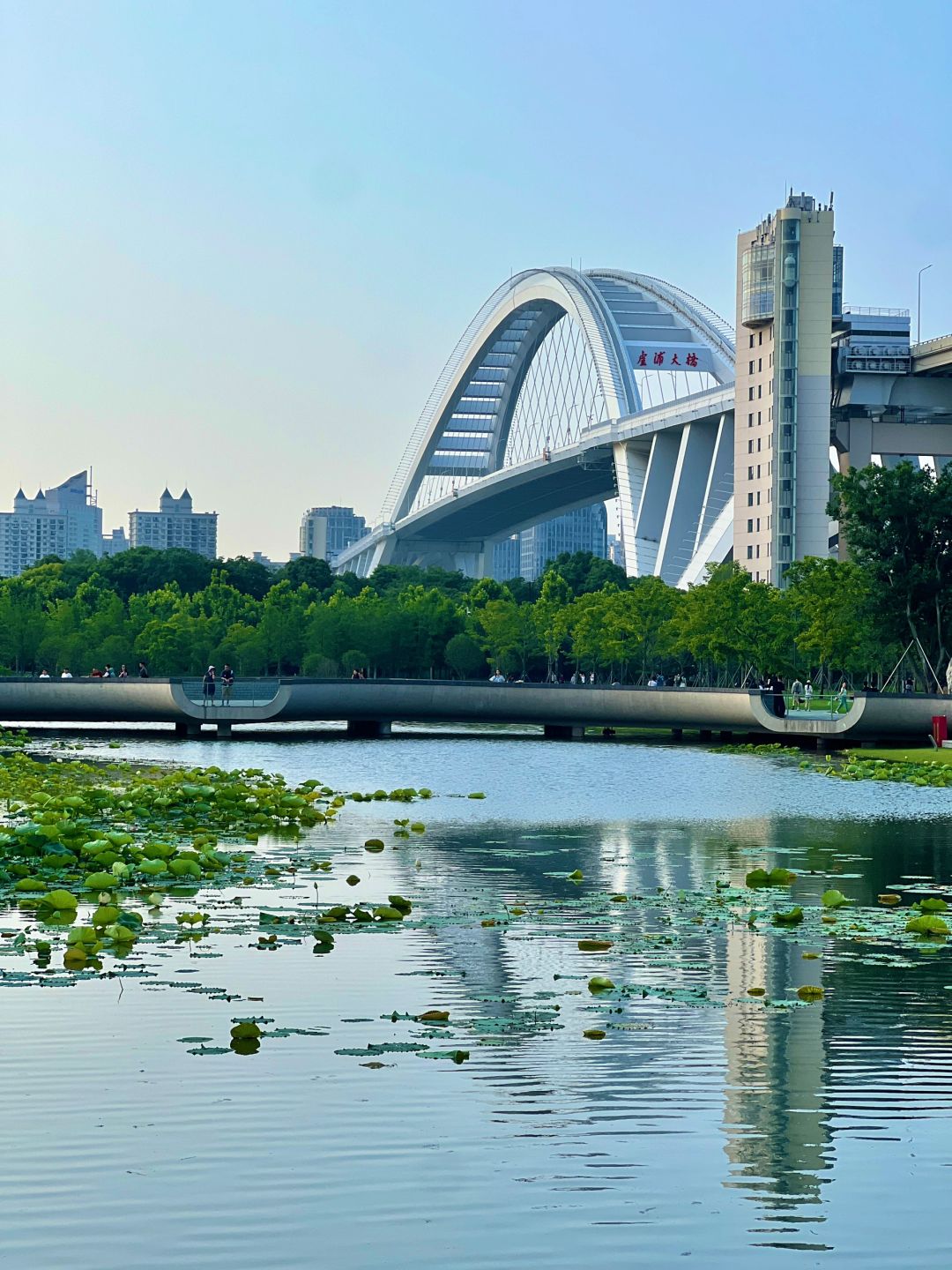 Shanghai/Hangzhou-Shanghai World Expo Cultural Park: The Perfect Integration of Urban Oasis and Modern Miracle